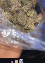 Guest_SheLuvsBrii