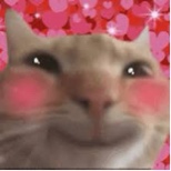 VeiIs