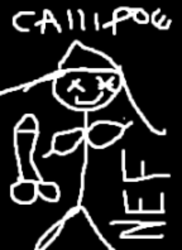 Callipoe