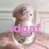 Guest_GennyWavy