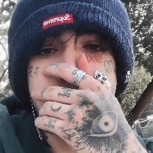 Guest_jayinoutt