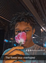 Guest_DEADSCOPE9525