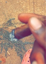 Guest_ykwio