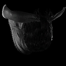 V01X