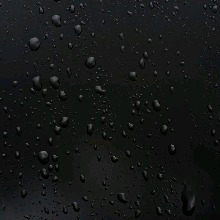 wDENgerOUSw