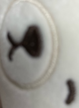 Guest_yyyyyss