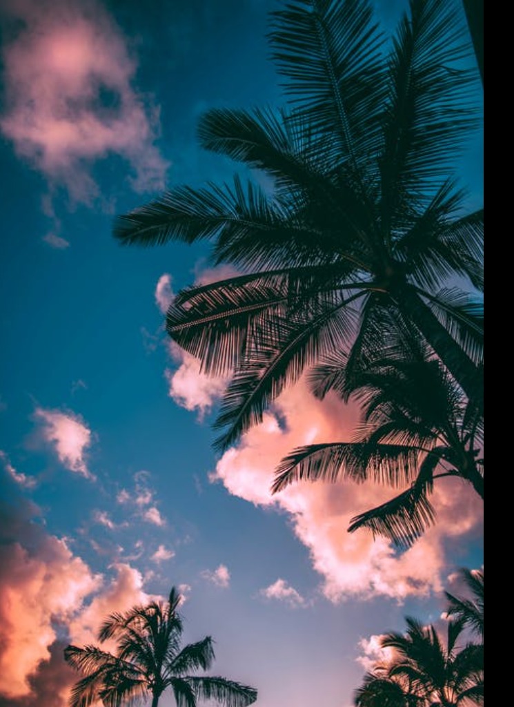 Guest_cxmae
