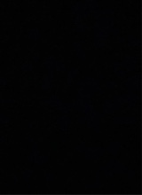 Guest_Jordyn788260