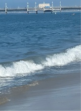 Guest_tammy764710