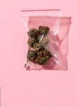 Guest_candy24156641