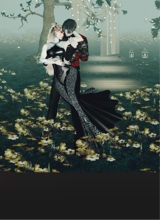 Guest_cc231c6b