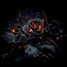 xxENVIxx