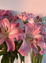 Guest_blackdawn1