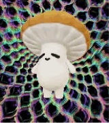 Guest_AceDemom