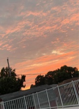 Guest_Peyton897527