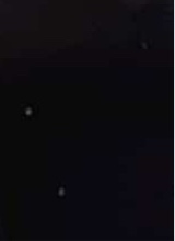Guest_ShopiOliveir