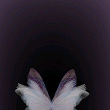 Guest_Lyan254524