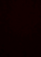 Guest_kiya258618