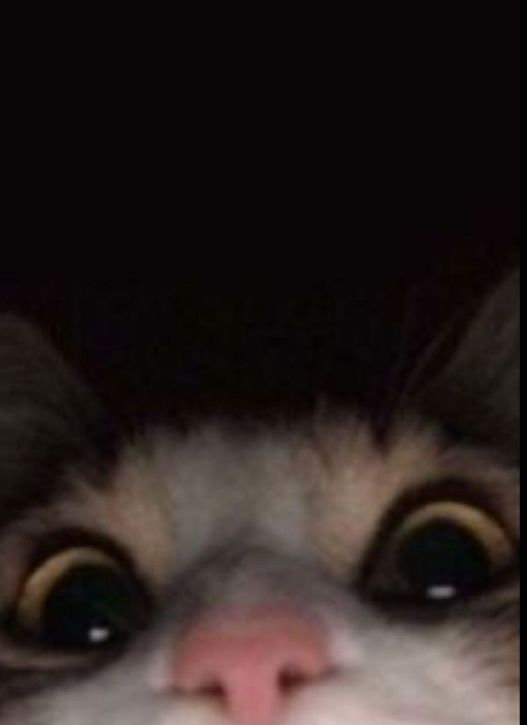 Gurl