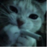 Guest_Diams1