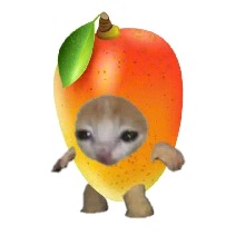 Aligito