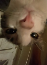 Guest_Clobinrow