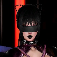 BanditsPup