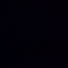 Haar
