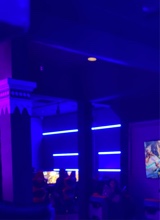 Guest_EvelynLlamas