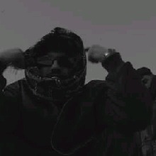 DMXl