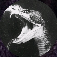 Guest_BlackMada3