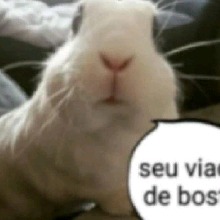 copa