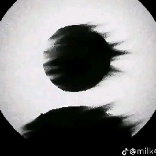immagine avatar