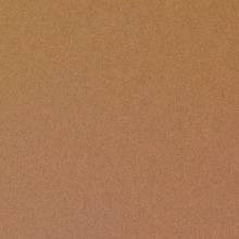 Guest_lightlightgray0e76