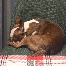 Guest_ZoeeColeman
