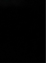 Guest_jaredgonzales1