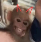 Guest_DrJax2