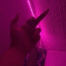 Guest_Layla765531
