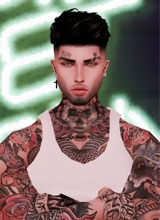 Guest_Alex288816