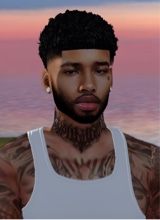 SteeezyB