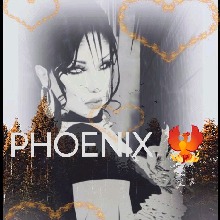 PHOENIXHELLWOLF4U