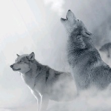 Guest_UnrealShAmAn