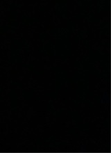 Guest_Nova502970