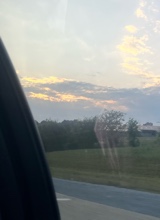 Guest_Brianna184152