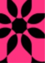 Guest_layla25272