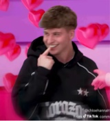 Guest_kittenbed123