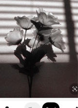 Guest_Madison21111