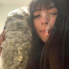 Guest_RuivinhaZ4