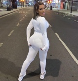 AIanis