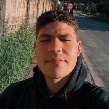 Paulowinchester